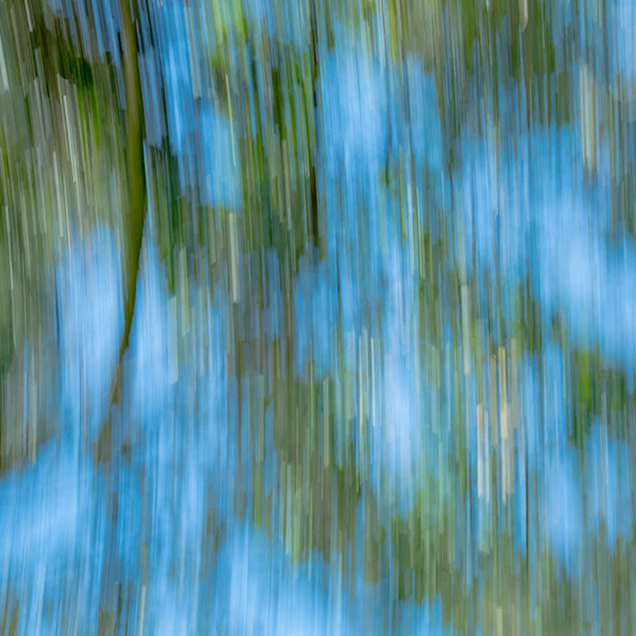 【Goose Style】Vol.12～春の気配を纏う～<br>15℃から始める軽やかなレイヤード