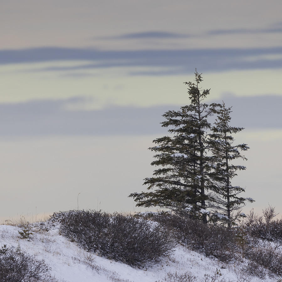 タイアップ掲載商品情報<br>＜SPURウェブサイト掲載＞